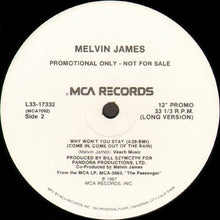 Load image into Gallery viewer, Melvin James : Why Won&#39;t You Stay (Come In, Come Out Of The Rain) (12&quot;, Promo)