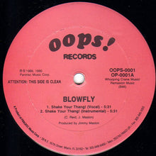 Load image into Gallery viewer, Blowfly : Shake Your Thang! (12&quot;)