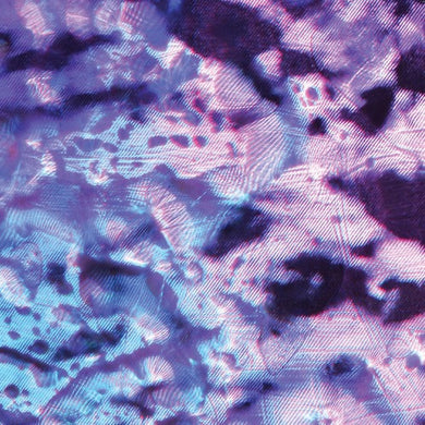 Cupp Cave : NVMB (12