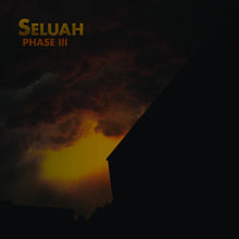 Load image into Gallery viewer, Seluah : Phase III (LP, Album)
