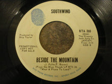 Load image into Gallery viewer, Southwind : Please Don't Hitchhike / Beside The Mountain (7", Single, Promo)