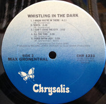 Load image into Gallery viewer, Max Gronenthal : Whistling In The Dark (LP, Album)