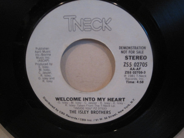The Isley Brothers : Welcome Into My Heart (7