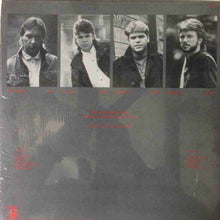 Load image into Gallery viewer, Terms Of Peace : Thunder Cracks (LP, Album)