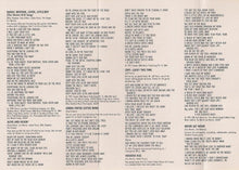 Load image into Gallery viewer, Mr. Big : Lean Into It (Cass, Album)
