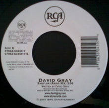 Load image into Gallery viewer, David Gray : Please Forgive Me (7")