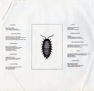 The Boomtown Rats : In The Long Grass (LP, Album, Pit)