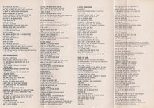 Load image into Gallery viewer, Mr. Big : Lean Into It (Cass, Album)