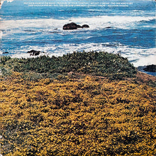 Load image into Gallery viewer, Ocean (3) : Put Your Hand In The Hand (LP, Album, Son)