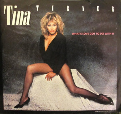 Tina Turner : What's Love Got To Do With It (7