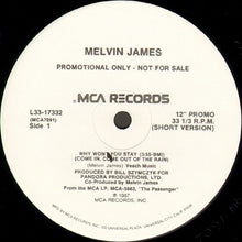 Load image into Gallery viewer, Melvin James : Why Won&#39;t You Stay (Come In, Come Out Of The Rain) (12&quot;, Promo)