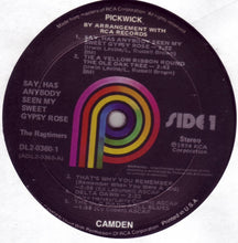 Load image into Gallery viewer, The Ragtimers : Say, Has Anybody Seen My Sweet Gypsy Rose (2xLP, Album)