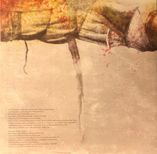Load image into Gallery viewer, Jónsi : Go (LP, Album, 180)