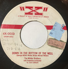 Load image into Gallery viewer, The Wilder Brothers (2) : Moon Of Manakoora (7", Single)