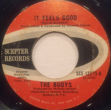 Load image into Gallery viewer, The Buoys : Timothy (7")