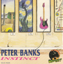 Load image into Gallery viewer, Peter Banks : Instinct (CD, Album)