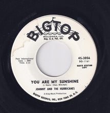 Load image into Gallery viewer, Johnny And The Hurricanes : You Are My Sunshine (7", Promo)