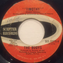 Load image into Gallery viewer, The Buoys : Timothy (7")