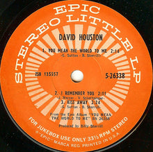 Load image into Gallery viewer, David Houston : You Mean The World To Me (7&quot;, Jukebox)