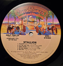 Load image into Gallery viewer, Stallion (2) : Hey Everybody (LP, Album, Promo)