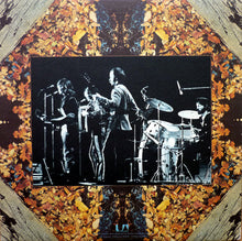 Load image into Gallery viewer, Nitty Gritty Dirt Band : All The Good Times (LP, Album, Gat)