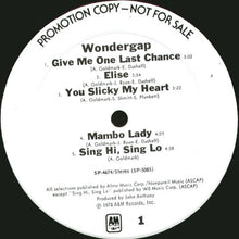 Load image into Gallery viewer, Wondergap : Wondergap (LP, Album, Promo)