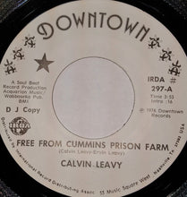Load image into Gallery viewer, Calvin Leavy : Free From Cummins Prison Farm (7", Promo)