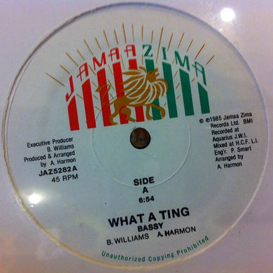 Bassy : What A Ting (12