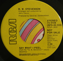 Load image into Gallery viewer, B.W. Stevenson : Say What I Feel (7", Mono, Promo)