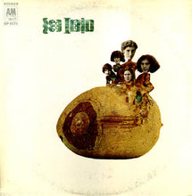 Load image into Gallery viewer, Seatrain : Sea Train (LP, Album)