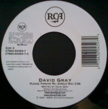 Load image into Gallery viewer, David Gray : Please Forgive Me (7")