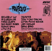 Load image into Gallery viewer, The Polecats : Live In Hamburg 1981 (LP, Album)