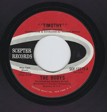 Load image into Gallery viewer, The Buoys : Timothy (7", Single)