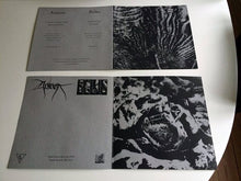 Load image into Gallery viewer, Anicon / Belus : Split 12&quot; (12&quot;, Ltd)