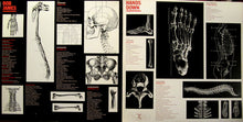 Load image into Gallery viewer, Bob James : Hands Down (LP, Album, Gat)