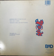 Load image into Gallery viewer, The Family Cat : Remember What It Is That You Love (12&quot;, Single)