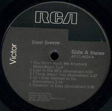 Load image into Gallery viewer, Steel Breeze : Steel Breeze (LP, Album)
