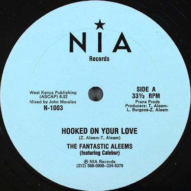 Aleem : Hooked On Your Love (12