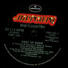 Load image into Gallery viewer, Big Country : East Of Eden (12&quot;, Promo)