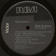 Load image into Gallery viewer, Steel Breeze : Steel Breeze (LP, Album)