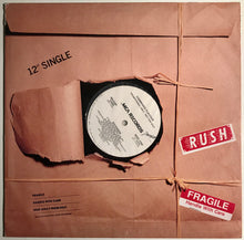 Load image into Gallery viewer, Combined Flavour : Niceness (12&quot;, Single, Promo)