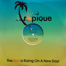 Load image into Gallery viewer, Phyllis Nelson : Don&#39;t Stop The Train (12&quot;)