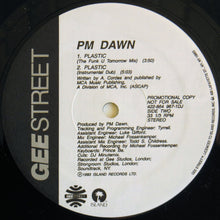 Load image into Gallery viewer, P.M. Dawn : Plastic (12&quot;, Promo)