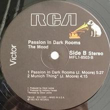 Load image into Gallery viewer, The Mood : Passion In Dark Rooms (12&quot;, MiniAlbum)