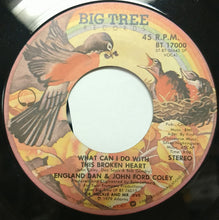 Load image into Gallery viewer, England Dan &amp; John Ford Coley : What Can I Do With This Broken Heart (7", Single, Promo)