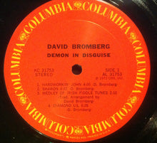 Load image into Gallery viewer, David Bromberg : Demon In Disguise (LP, Album, Pit)