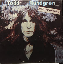 Load image into Gallery viewer, Todd Rundgren : Hermit Of Mink Hollow (LP, Album)