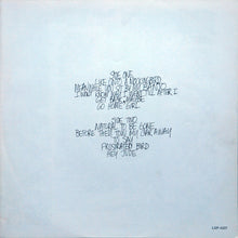 Load image into Gallery viewer, John Hartford : Iron Mountain Depot (LP, Album, Ind)