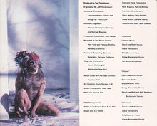 Load image into Gallery viewer, David Lee Roth : Eat &#39;Em And Smile (Cass, Album, AR)