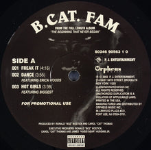 Load image into Gallery viewer, B.Cat.Fam : Freak It (12&quot;, Promo)